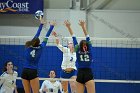 VB vs Salve  Wheaton Women’s Volleyball vs Salve Regina University. : volleyball